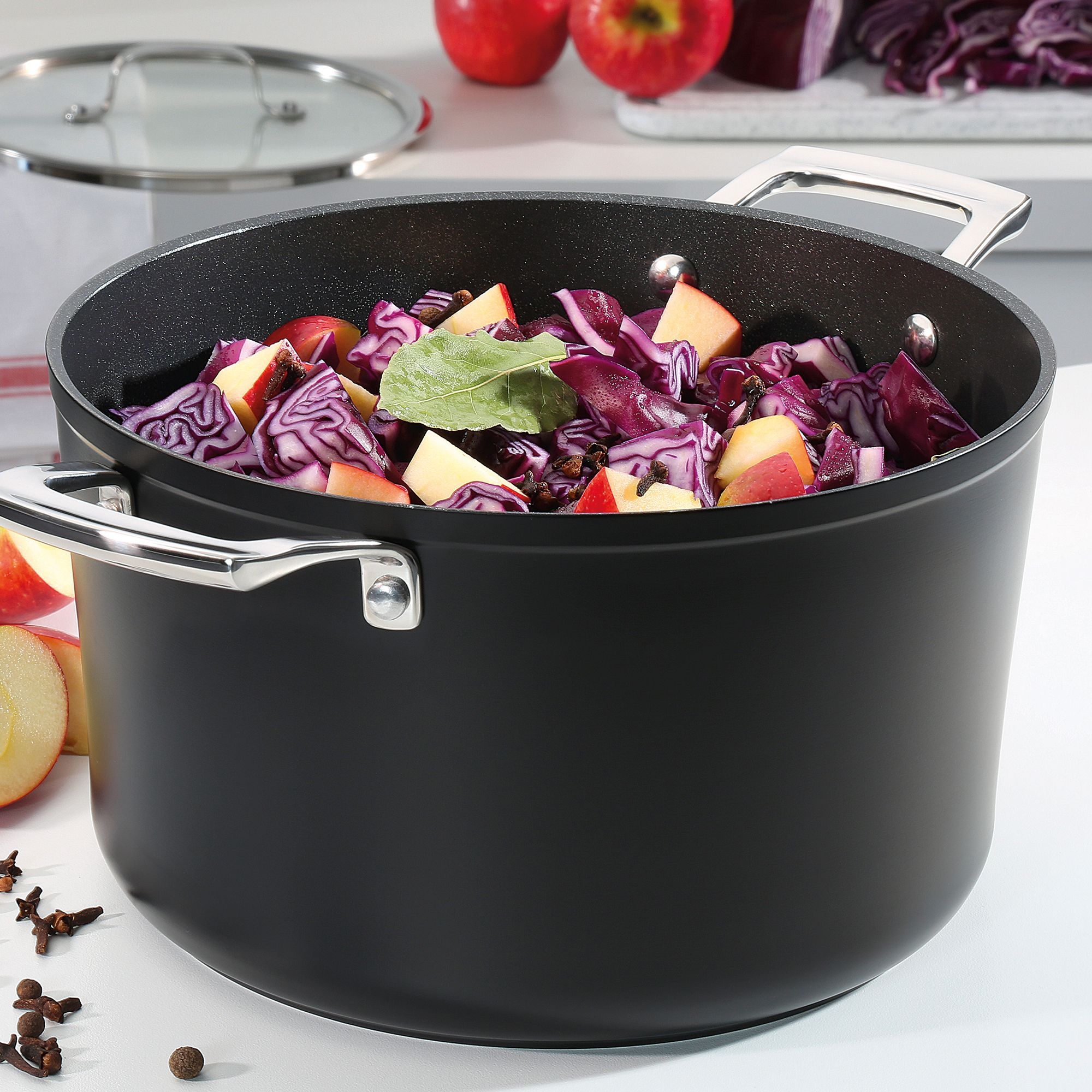 Spring - Roasting pan with glass lid - MERIDIAN INTENSE PRO - 20 cm