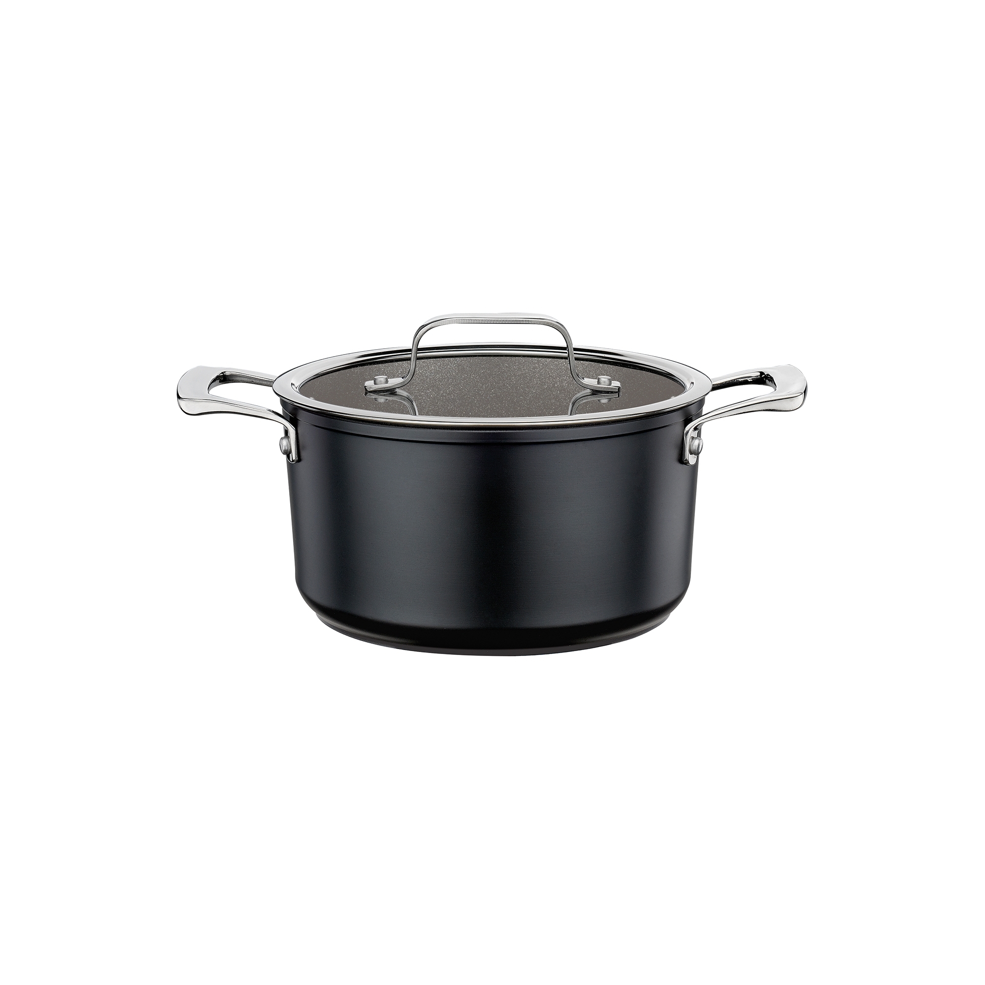 Spring - Roasting pan with glass lid - MERIDIAN INTENSE PRO - 20 cm